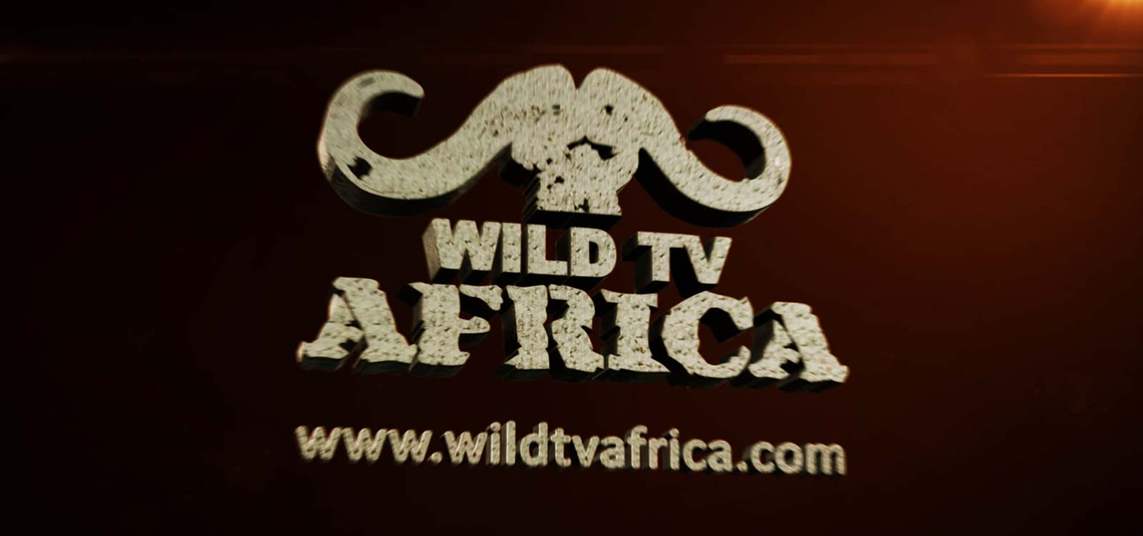 wild tv africa